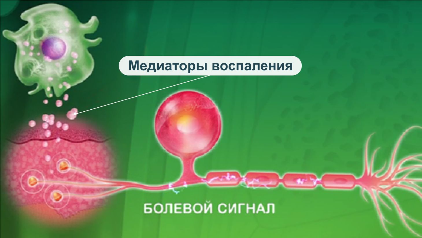 Стоматит: всё о методах лечения и препаратах.